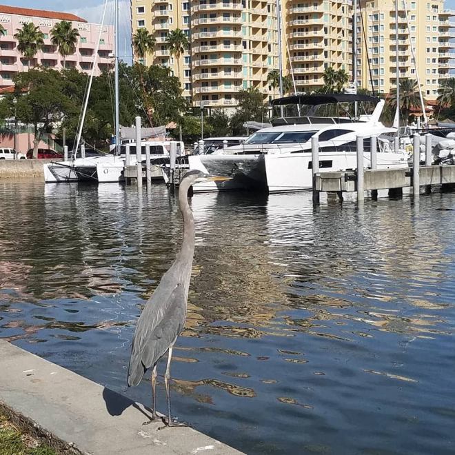 img_20181209_111252_513